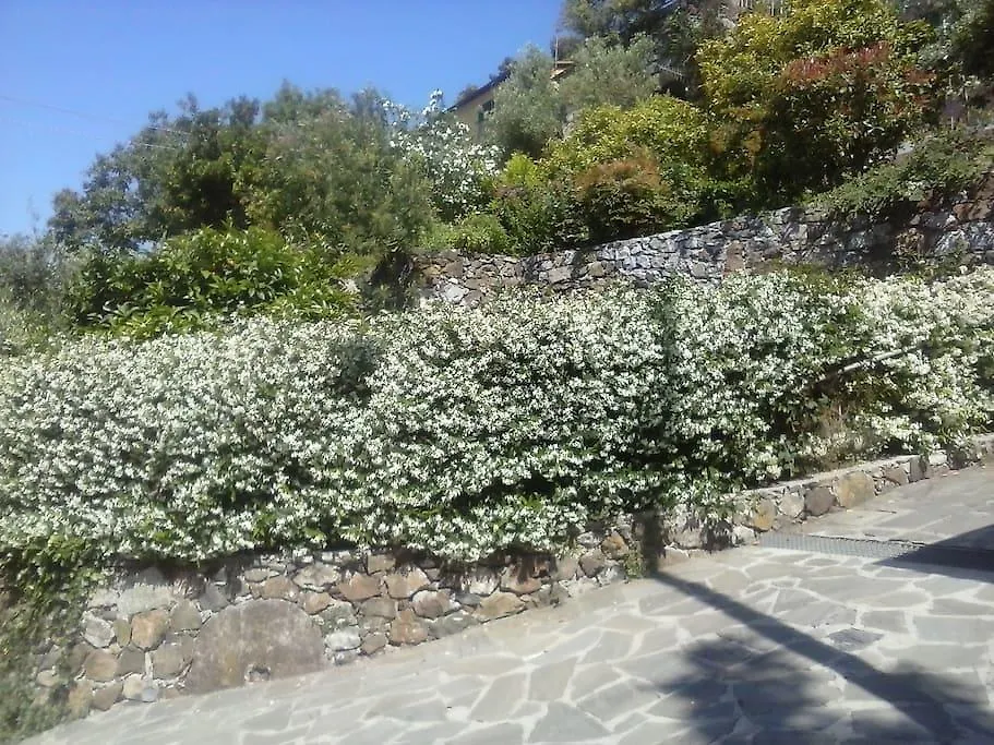 Apartmán Borgo Tipico Collinare Bonassola 0*,