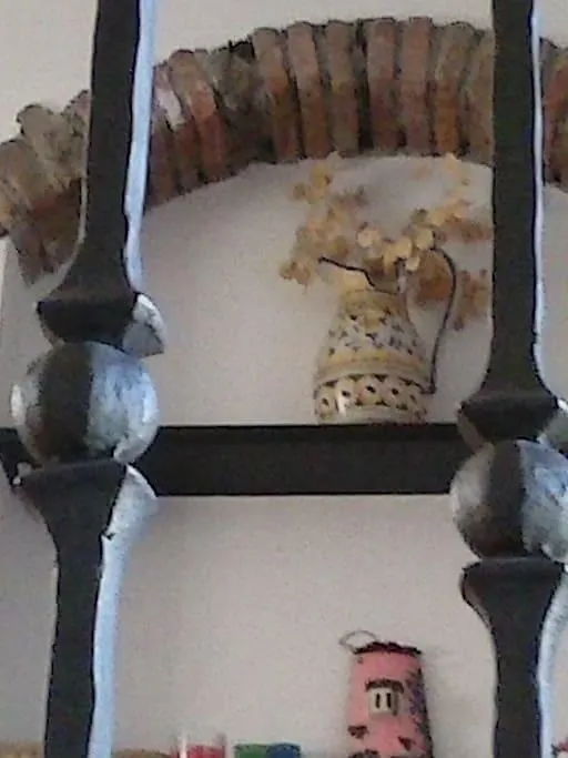 Apartmán Borgo Tipico Collinare Bonassola
