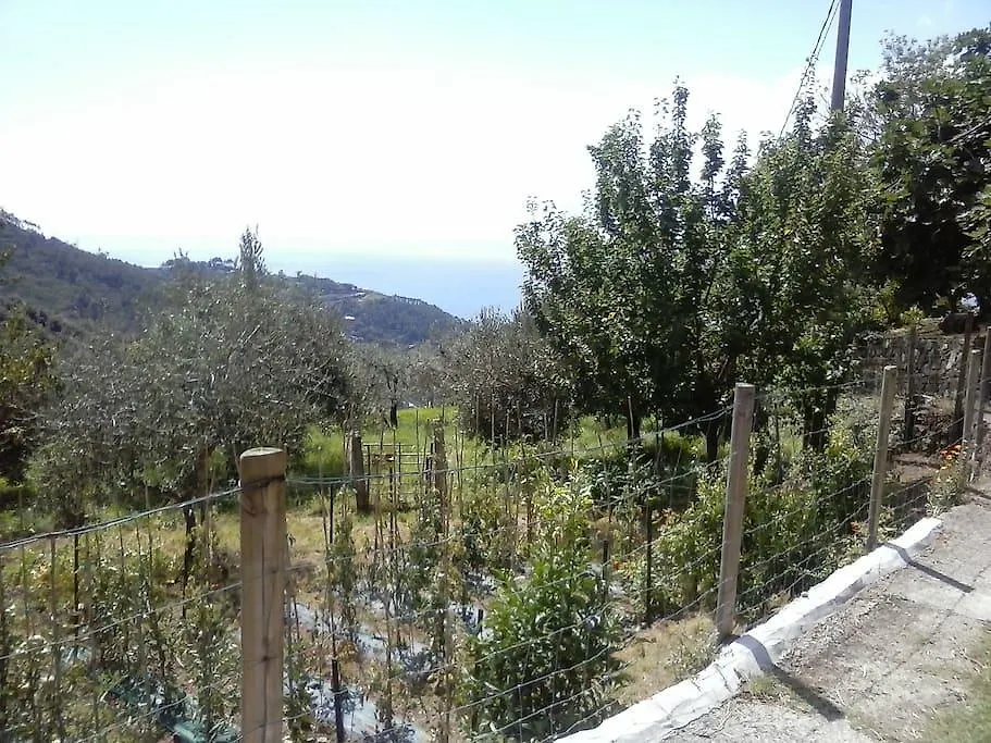 Apartmán Borgo Tipico Collinare Bonassola 0*,  Itálie